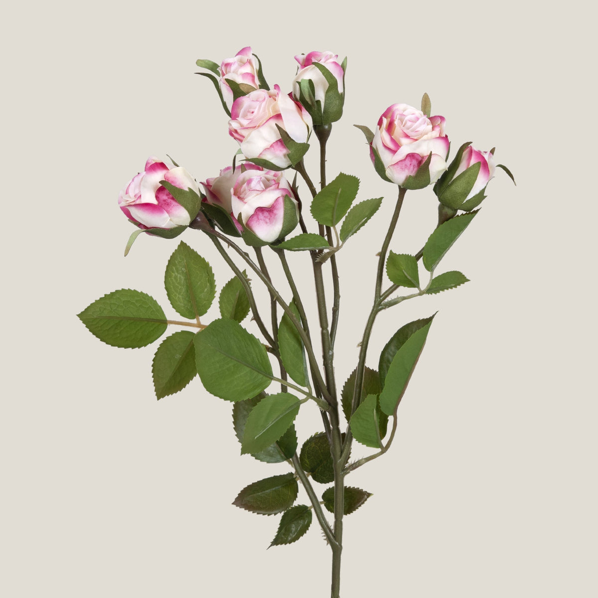 Ah Roses Pink Rose Bunch Flower – Bloomster