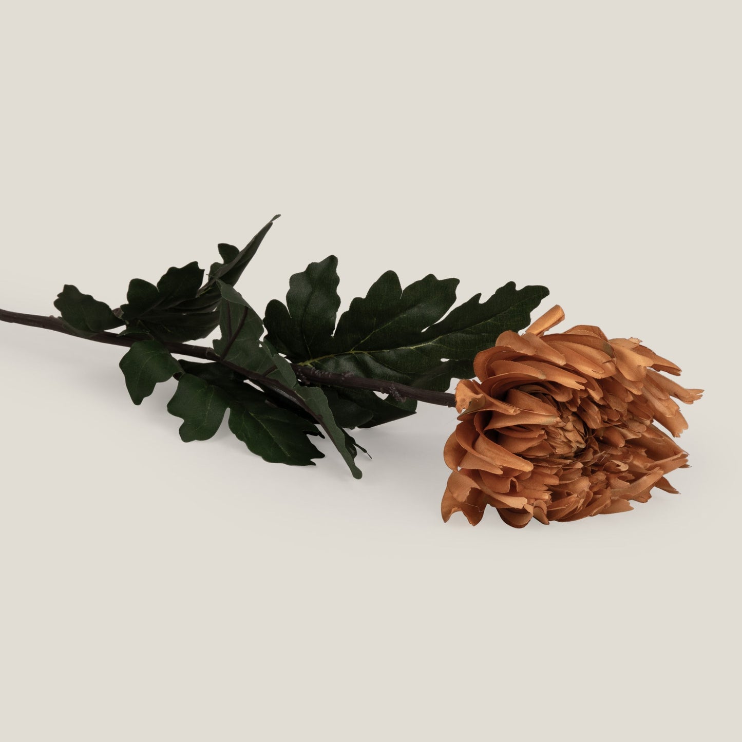 Rust Crysanthemum Spray Flower